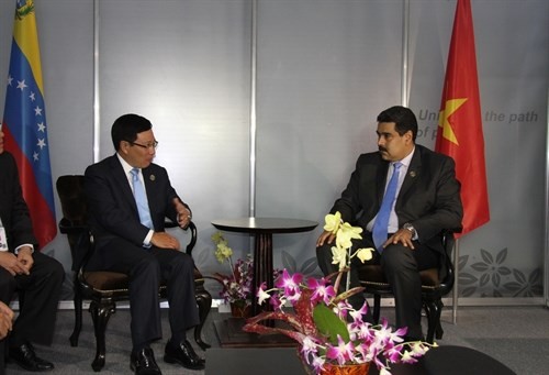 Vietnam eyes stronger multifaceted cooperation with Venezuela, Iraq  - ảnh 1